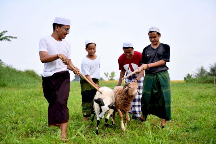 Mengenal Lebih Dekat Pengertian Ibadah Qurban