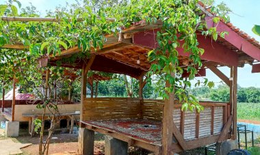 Saung Santri, Tempat Unik untuk Santri Menghafal Qur'an