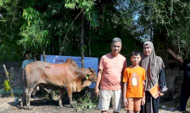 SedekahOnline Hadirkan Kebahagiaan Melalui Qurban Sapi